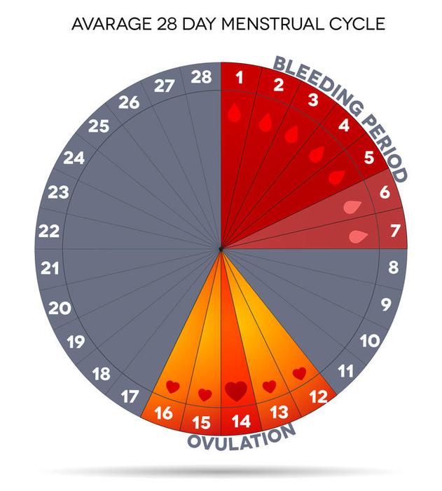 Menstruationskalender
