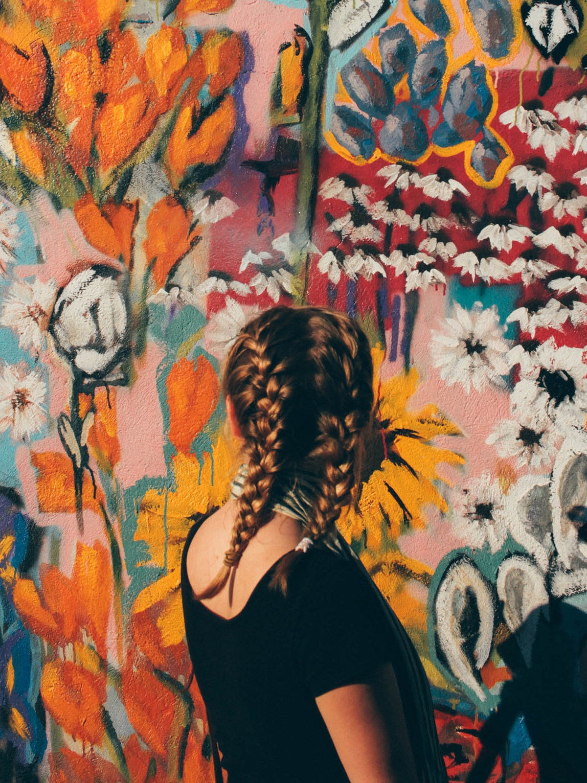 Boxer-Braids