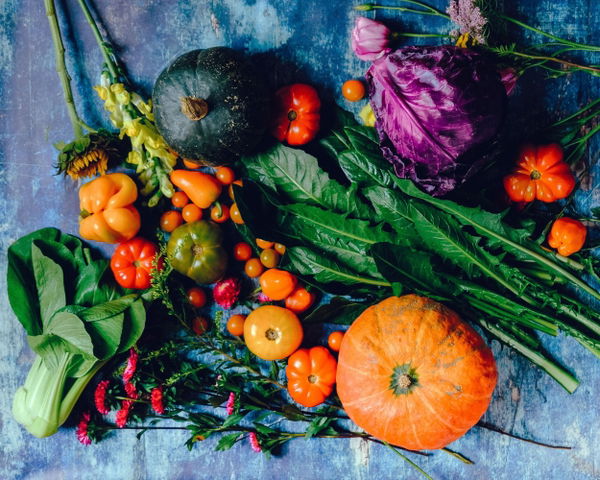 Gesund enähren und die Umwelt schonen: So gehts!