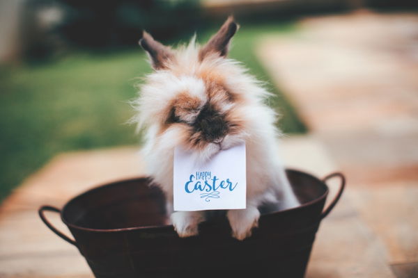 Ostern: Schöne Geschenkideen für deinen Freund und deine Freundin!