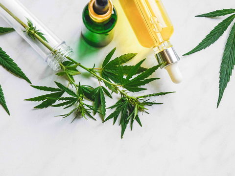 CBD für Sport und Fitness: 7 Gründe, warum CBD hilft