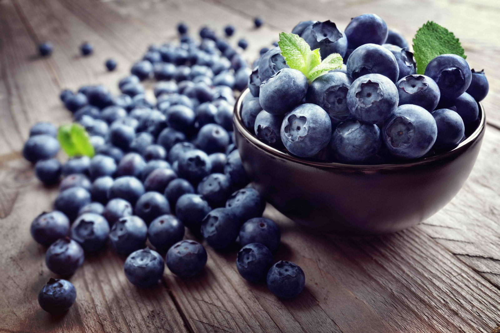 Heidelbeeren: Warum die blauen Beeren so gesund sind