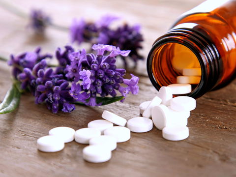 Die besten Heilpflanzenkombis für den Sommer – Dr. Judith Bildau talkt