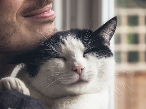 Katzenliebe verstehen: 5 eindeutige Liebesbeweise Ihrer Samtpfote