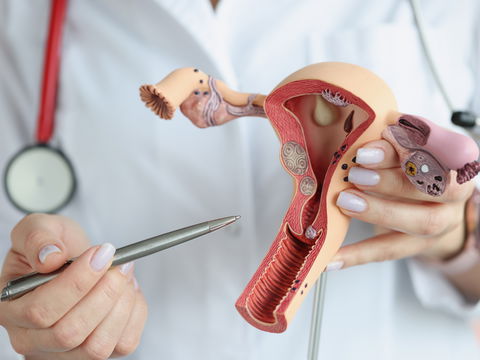 Vulva-Krebs: Achten Sie auf diese Anzeichen