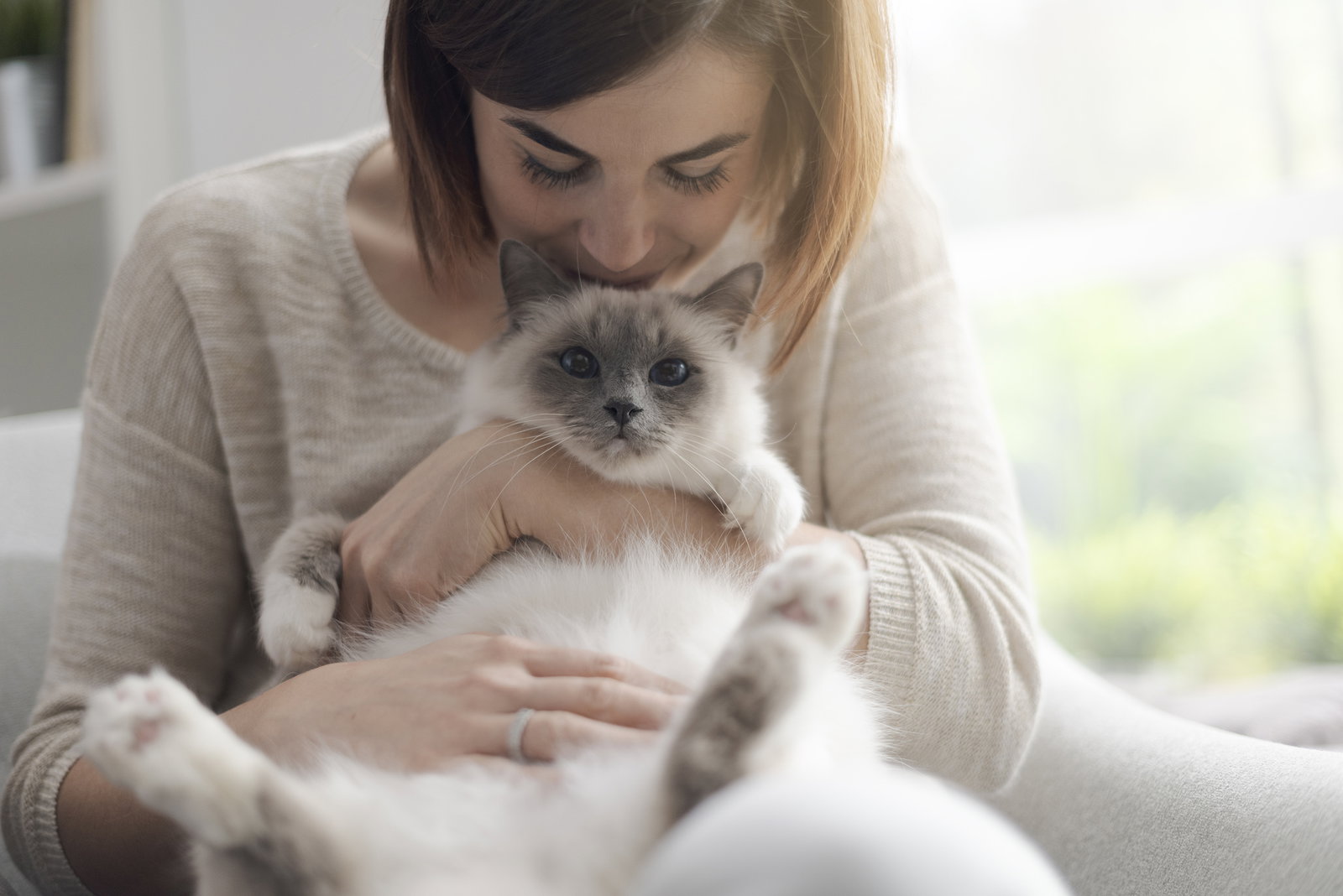 Das Duftgeheimnis unserer Stubentiger: Warum riechen Katzen so gut?