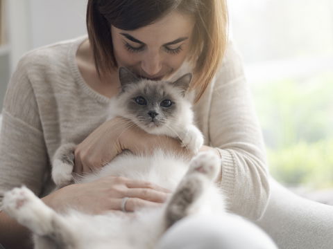 Das Duftgeheimnis unserer Stubentiger: Warum riechen Katzen so gut?