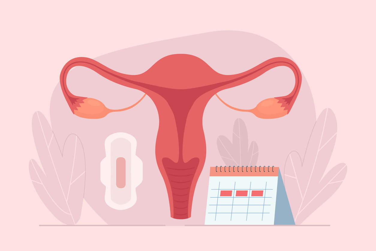 Menstruationszyklus einfach erklärt: Die wichtigsten Fakten
