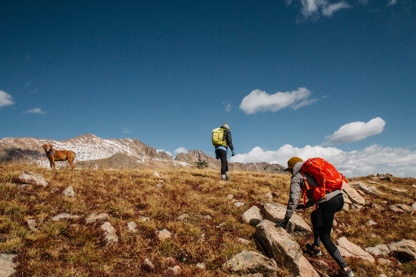 Raus aus dem Alltag: Wie Wandern Stress reduziert und neue Energie schenkt