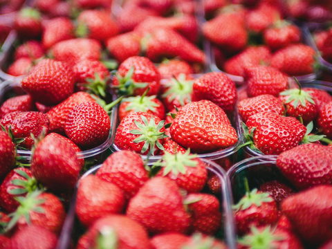 Anti-Aging-Wunder: Warum wir Erdbeeren jetzt täglich essen sollten