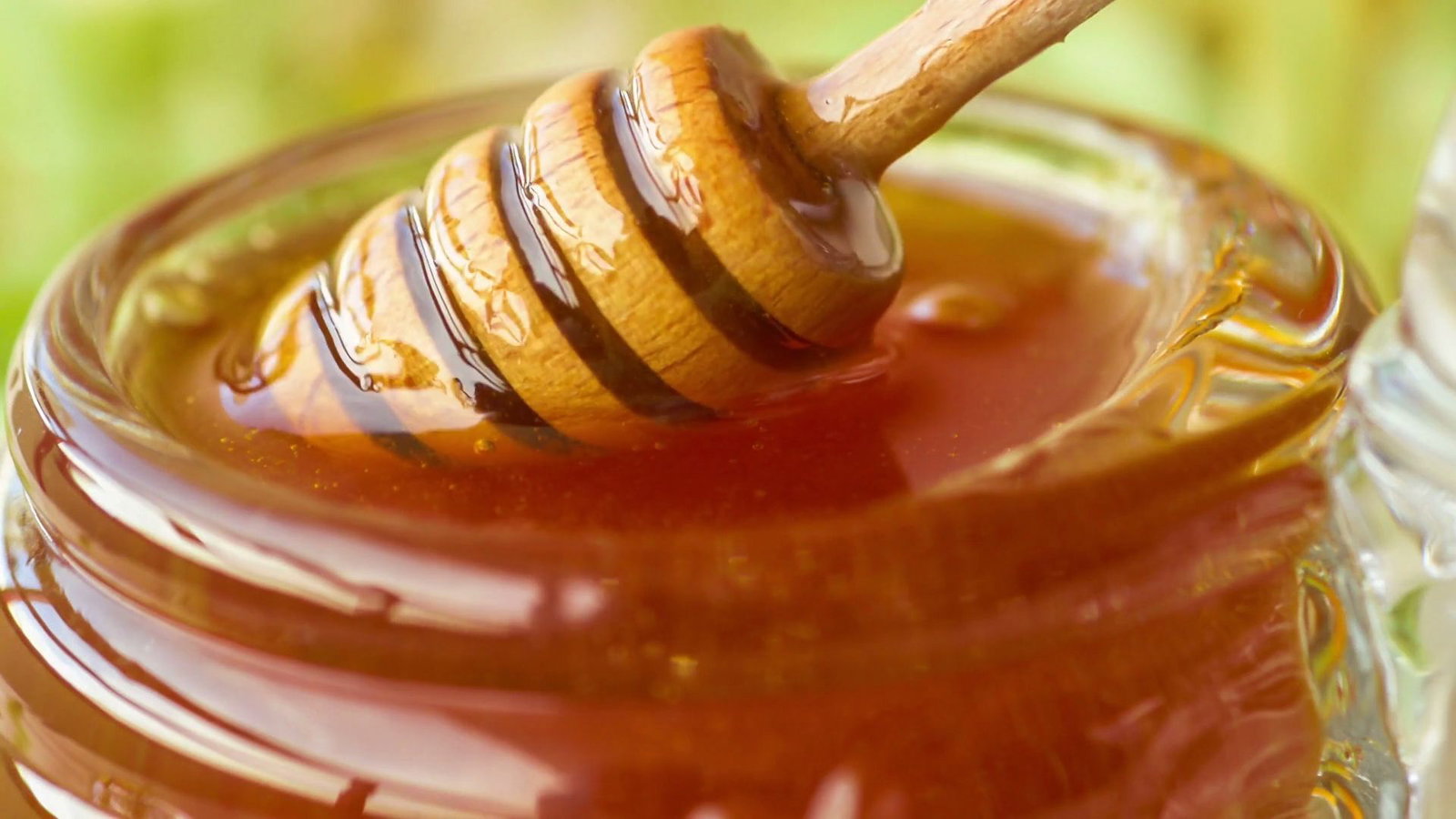 Goldenes Wundermittel: Honig statt Antibiotika?