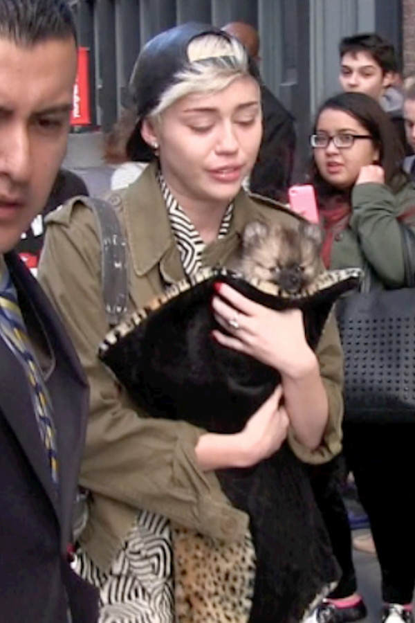Miley Cyrus trauert um Floyd