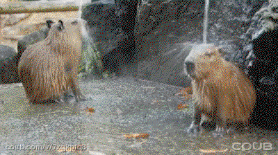 I'm singing in the rain...