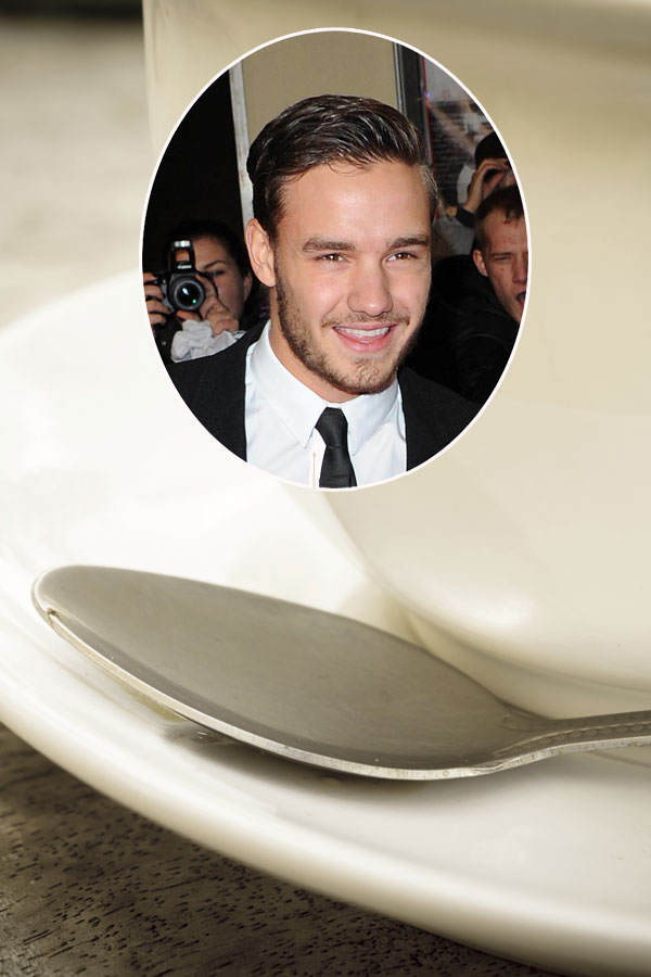 Liam Payne: Löffel-Angst