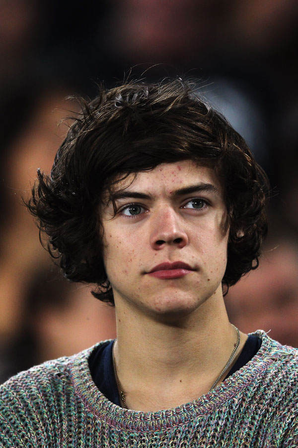 Harry Styles Pickel