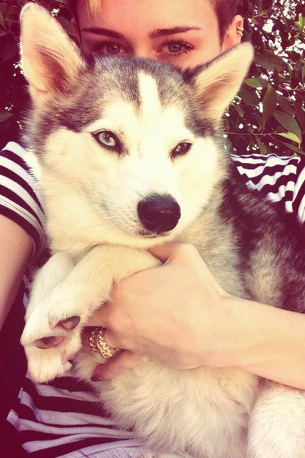 Miley Cyrus und Floyd