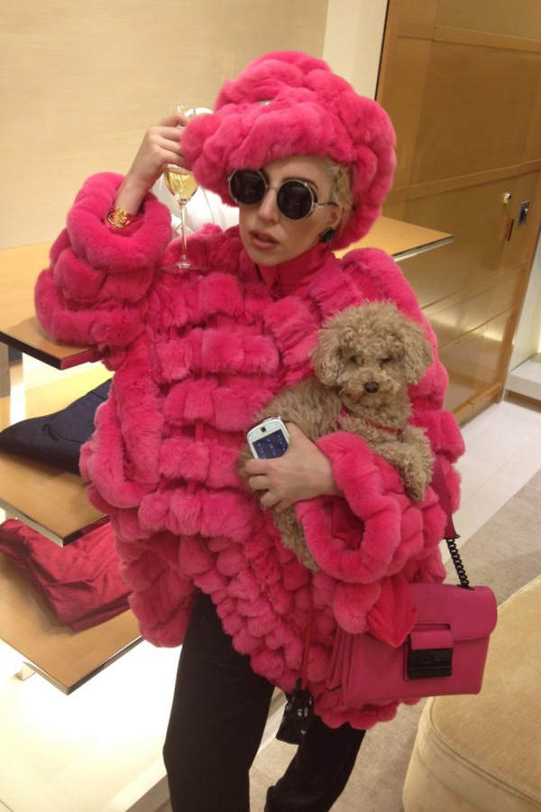 Lady Gaga und Hund Fozzi