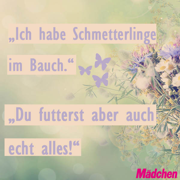 #SchmetterlingeMampfen