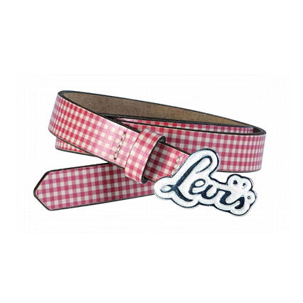 Karierter Gürtel von Levi's