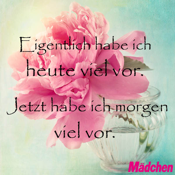 #Vorhaben