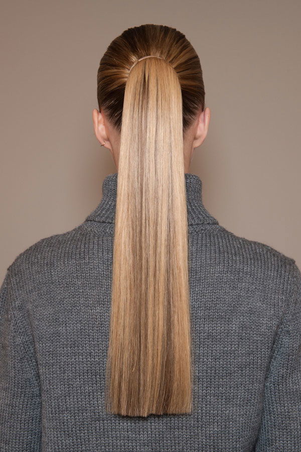 Sleek Ponytail