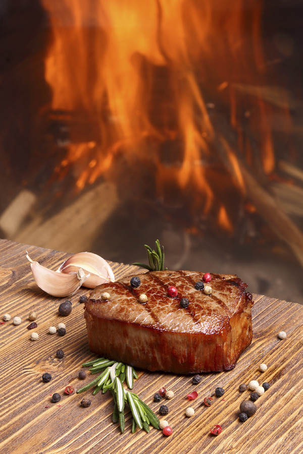 Fleischesser oder Carnivoren