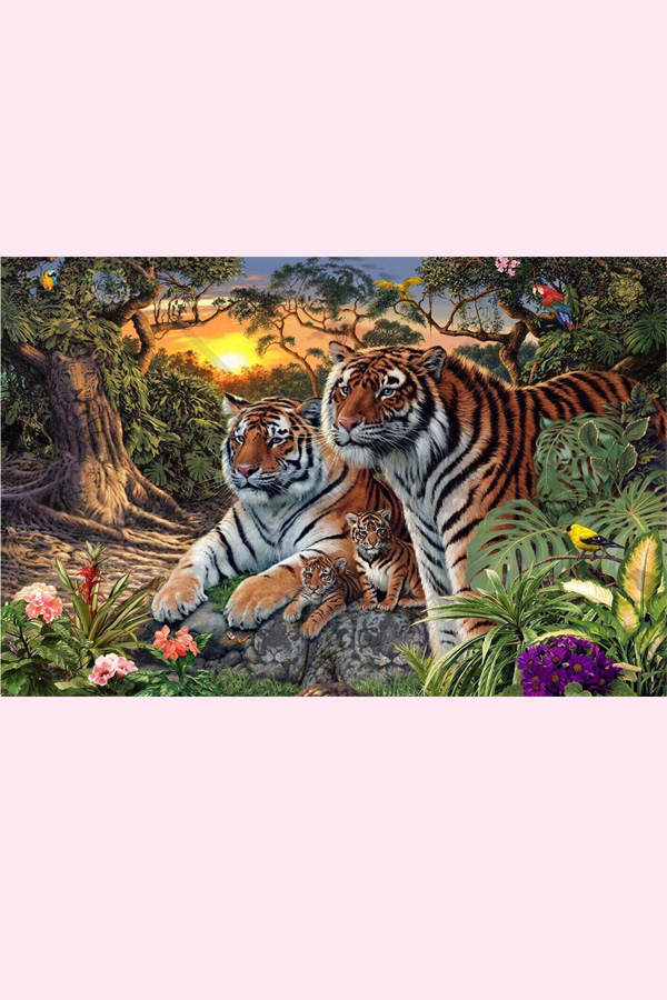 Wie viele Tiger?