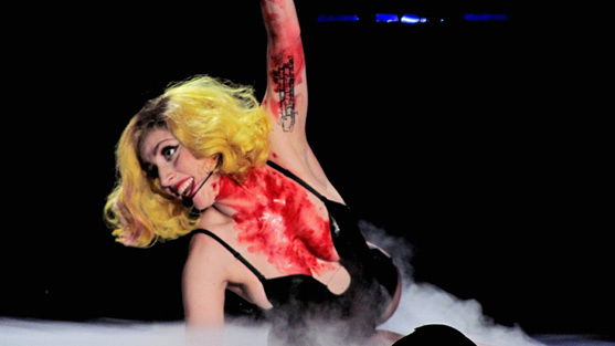 Lady Gaga Fan schlachtet Katze