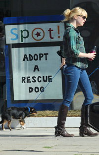 emma-stone-hat-ein-herz-fuer-tiere-200x313-bild-1-1044870.jpg