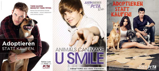 emma-stone-hat-ein-herz-fuer-tiere-557x250-bild-2-1044870.jpg