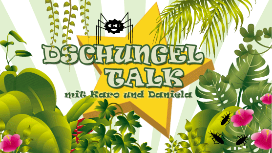 Dschungelcamp 2011: Dschungel-Talk-Finale