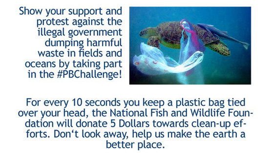 plastic-bag-challenge-557-2056914.jpg