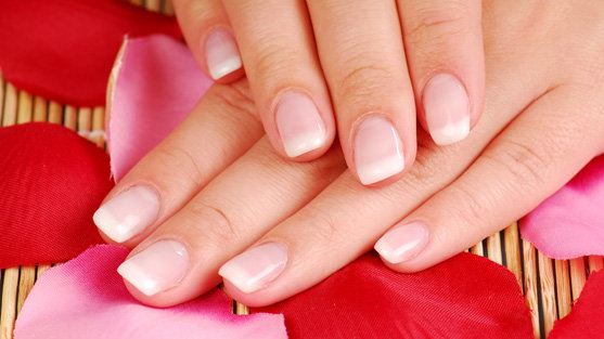 french-manicure-neu-557-425611.jpg
