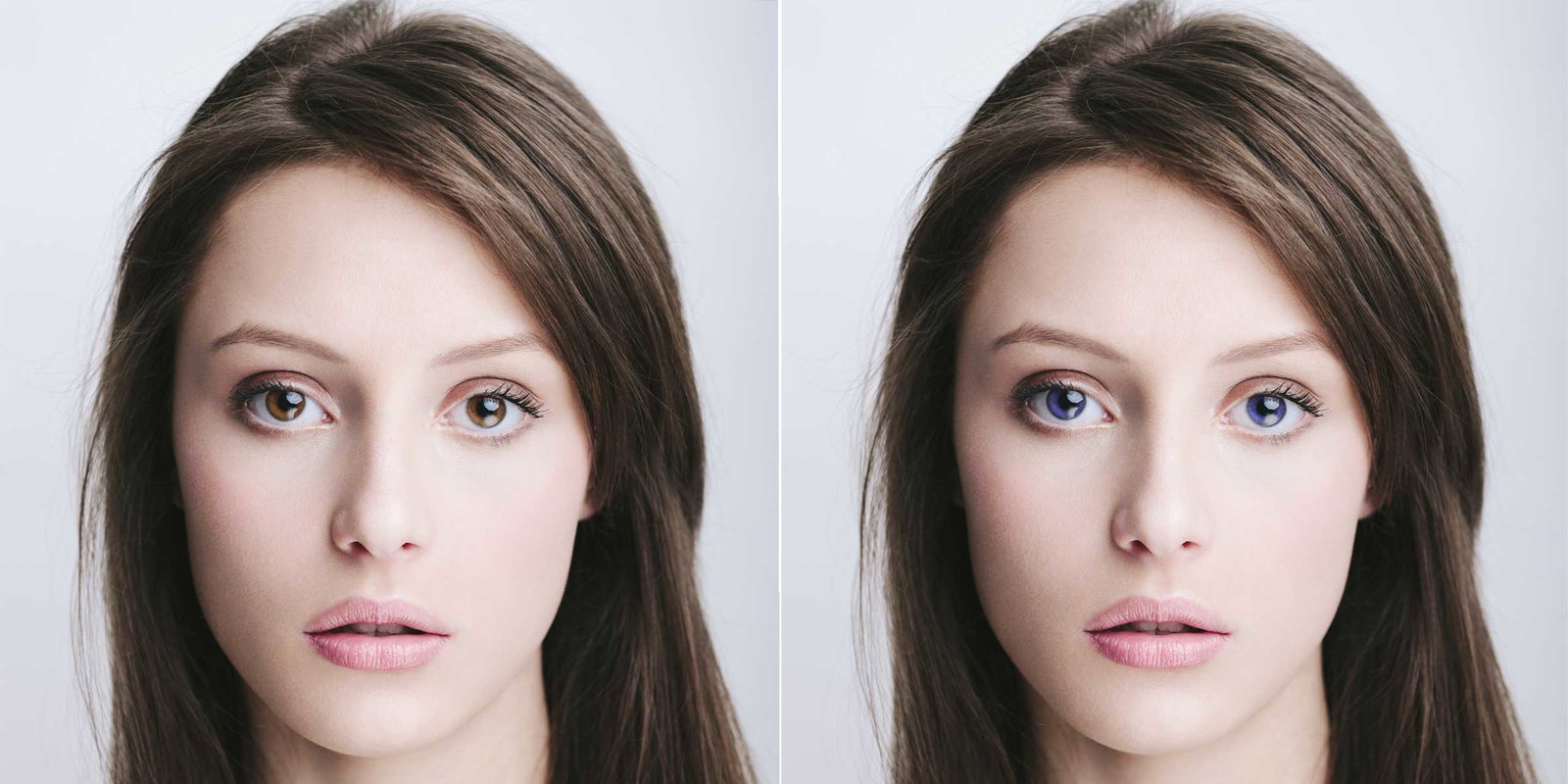 Von-braun-zu-blauen-Augen-Quer