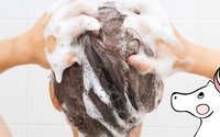 Schon mal Pferdeshampoo probiert?