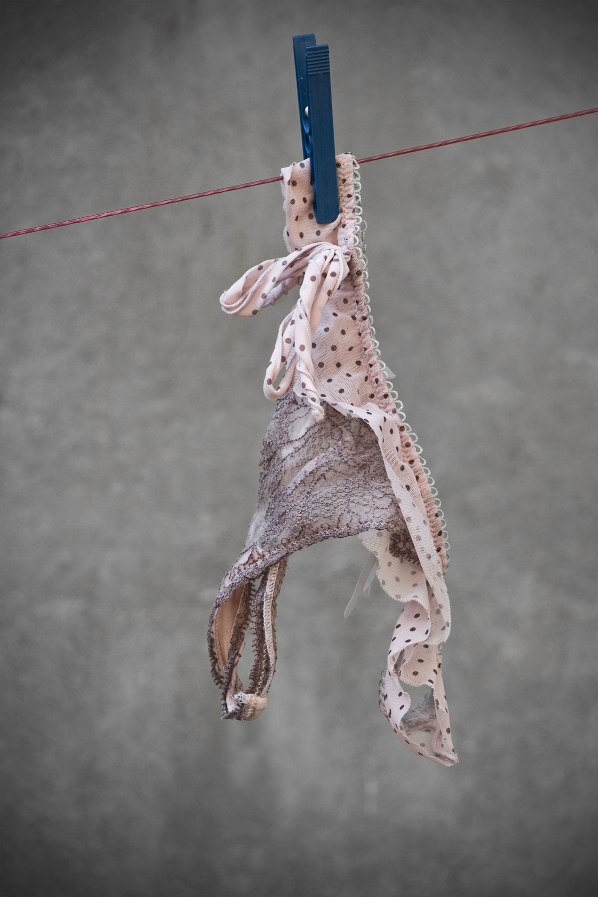 Gardnerella - was ist das?