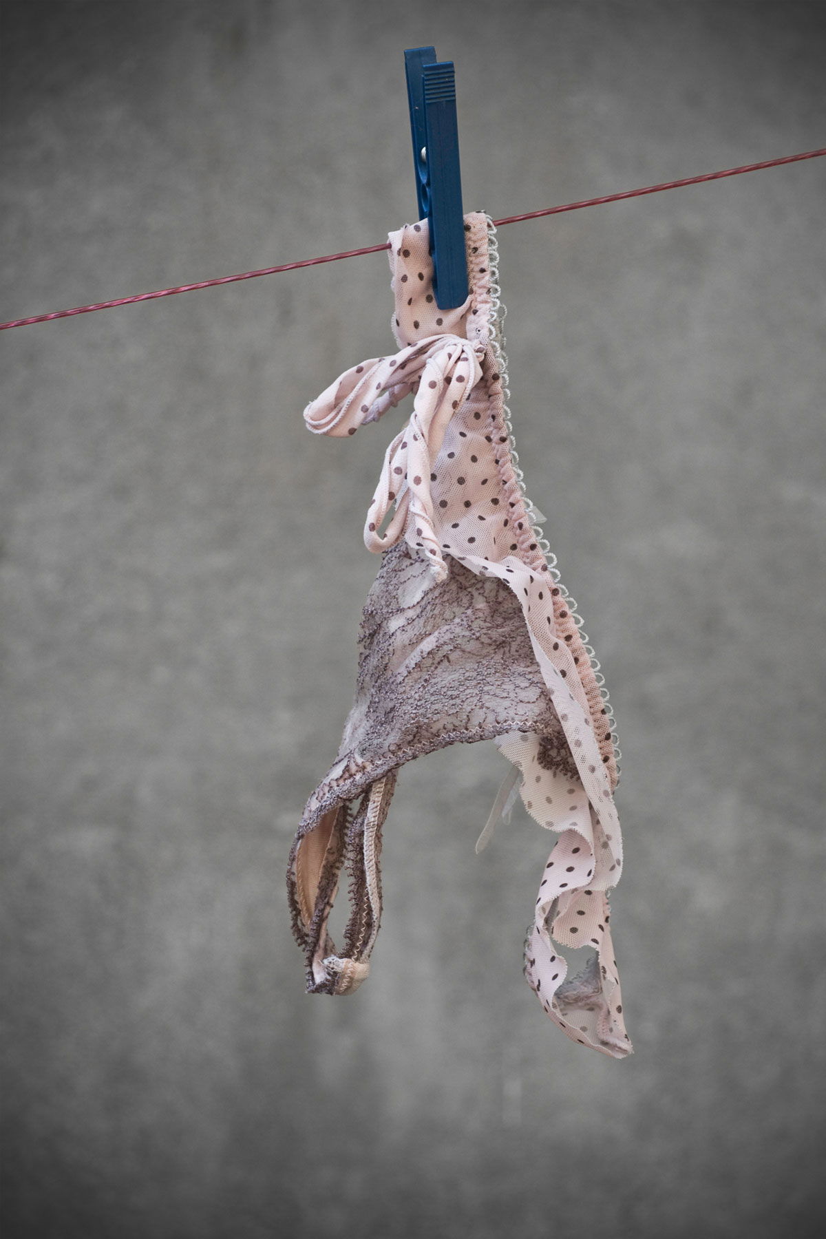 Gardnerella - was ist das?