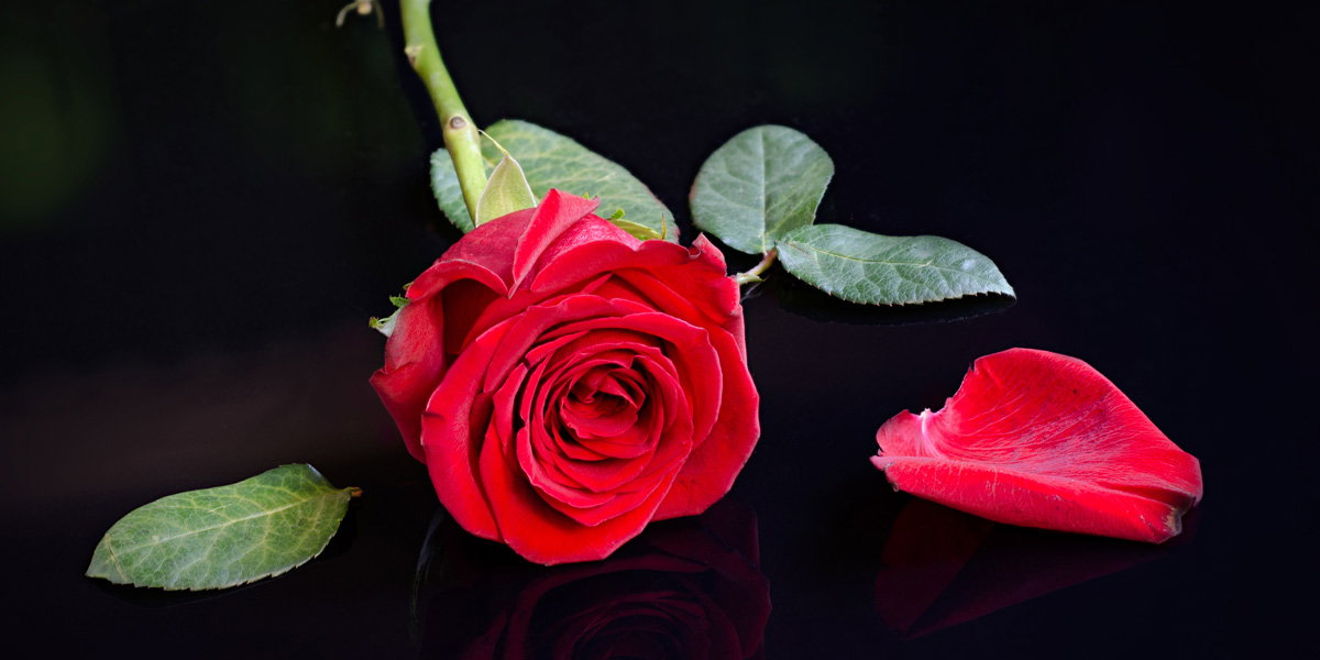 bachelor-casting-quer2
