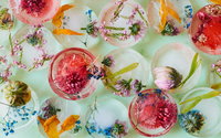 Beauty Cubes: Warum du sie diesen Sommer lieben wirst