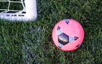 Mit diesem Fußballwissen kannst du deinen Schwarm beeindrucken!
