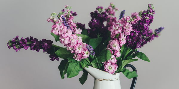 Laut Sternzeichen: Das sind die perfekten Muttertags-Blumen für deine Mama