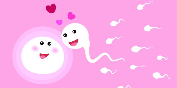Heute Sex morgen schwanger? So lange dauert eine Befruchtung wirklich