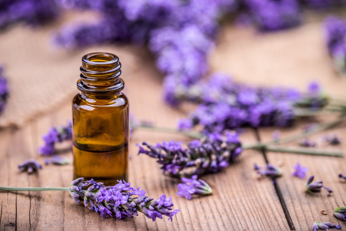 Lavendel als Hausmittel