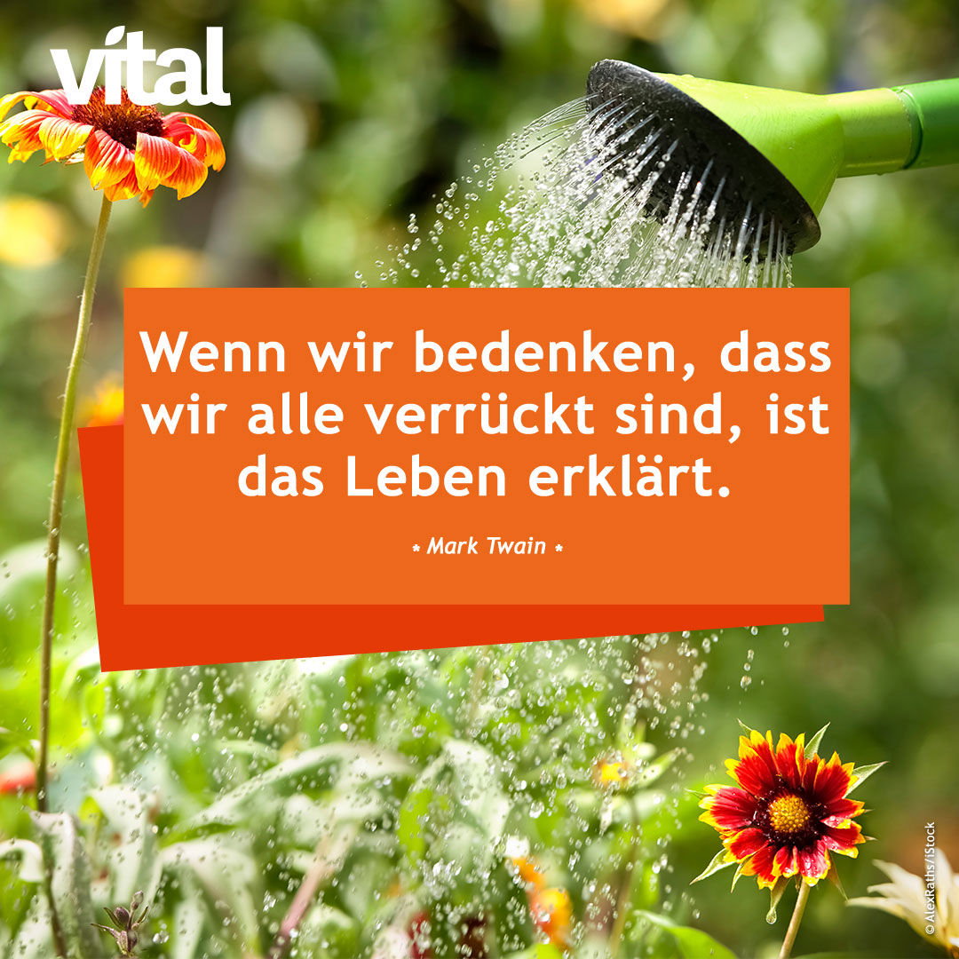 Die schönsten Sprüche zum Nachdenken