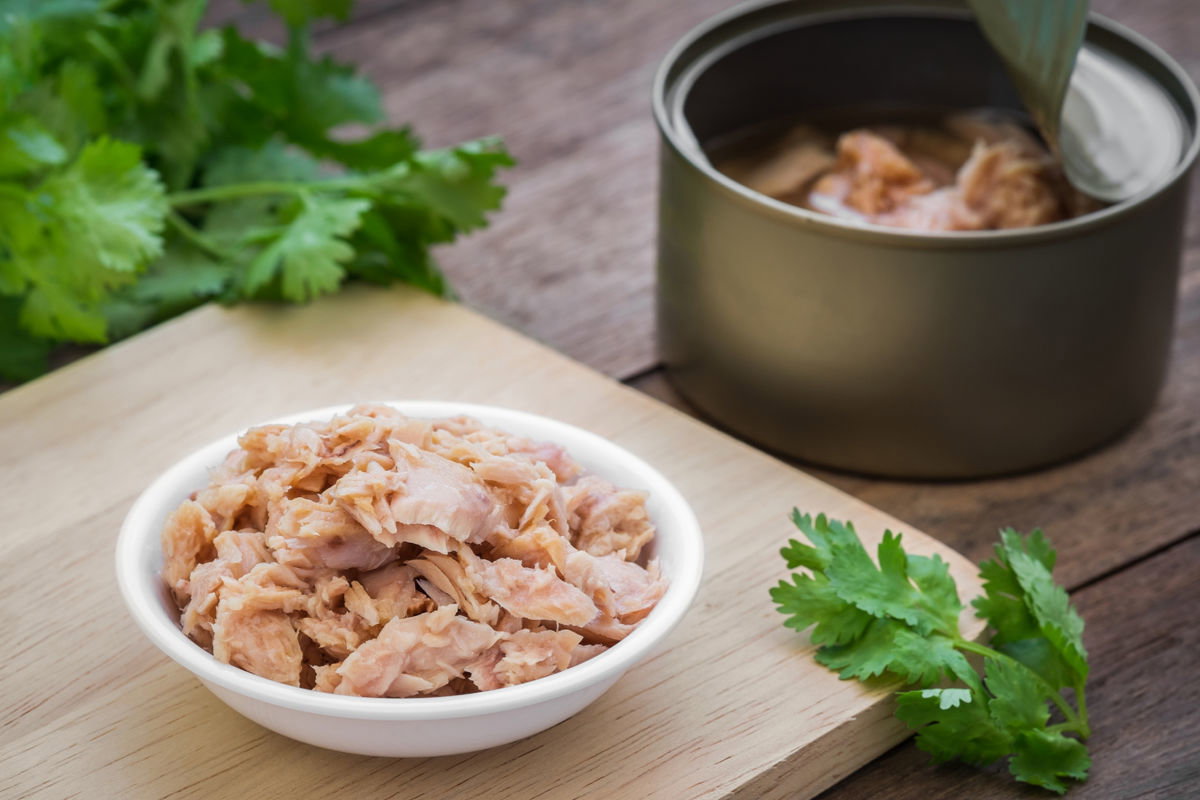 Dosen-Thunfisch auf einem Teller mit Kräutern
