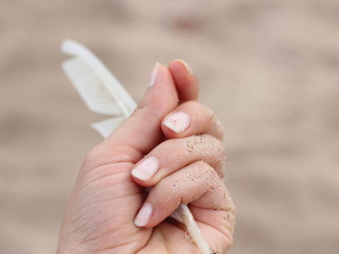 Nagelhaut – zurückschieben oder schneiden?