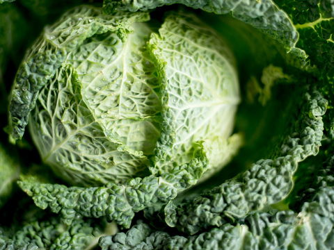 Kohlwickel: Bei diesen Leiden hilft das Hausmittel