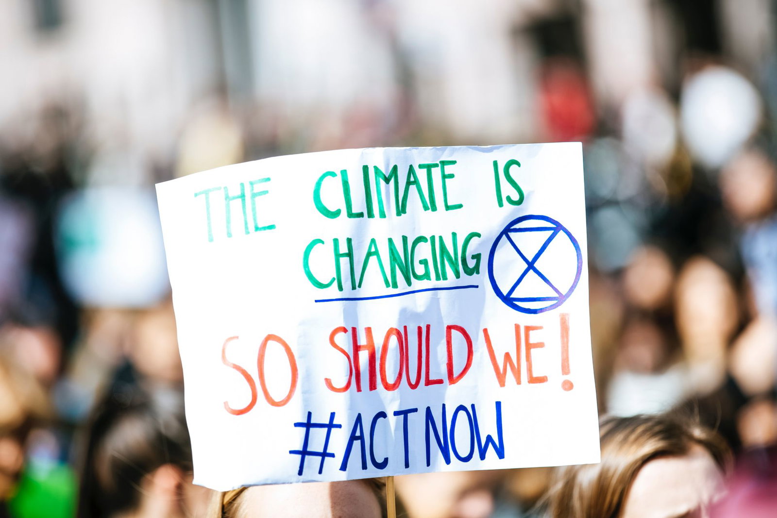 Diese 10 Lebensmittel sind die größten Klimakiller